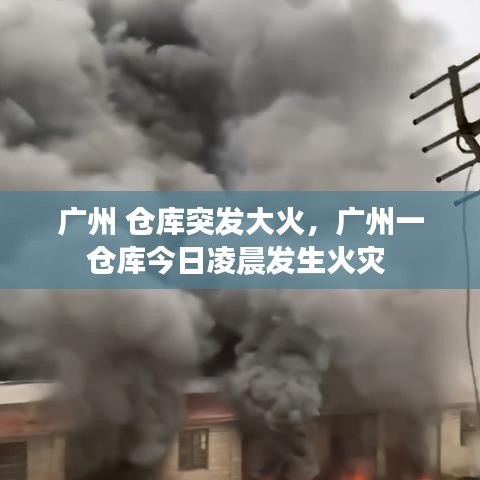 张弓拔弩 第6页