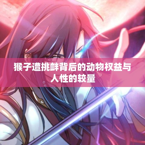 猴子遭挑衅背后的动物权益与人性的较量