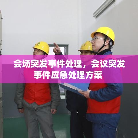 会场突发事件处理，会议突发事件应急处理方案 
