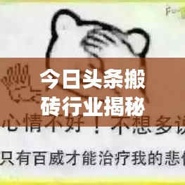 今日头条搬砖行业揭秘,现状深度剖析与未来展望