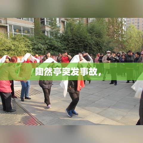 陶然亭突发事故， 