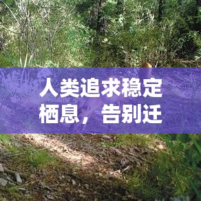 人类追求稳定栖息，告别迁徙时代的新纪元