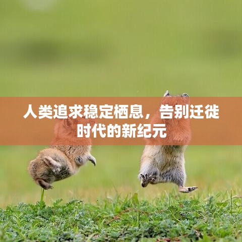 趣彩网版本,综合性计划定义评估|钻石版1_v4.668