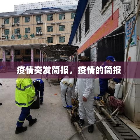 疫情突发简报,疫情的简报
