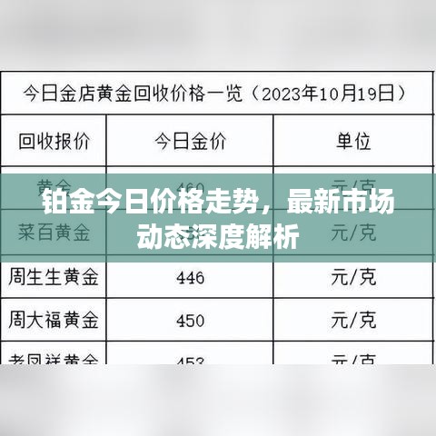 铂金今日价格走势，最新市场动态深度解析