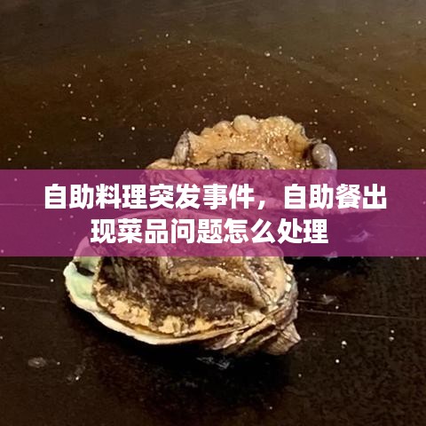 自助料理突发事件，自助餐出现菜品问题怎么处理 