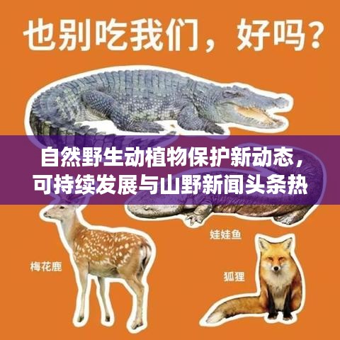 自然野生动植物保护新动态，可持续发展与山野新闻头条热议话题