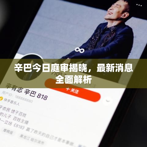 辛巴今日庭审揭晓，最新消息全面解析