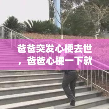 爸爸突发心梗去世，爸爸心梗一下就死了为什么 