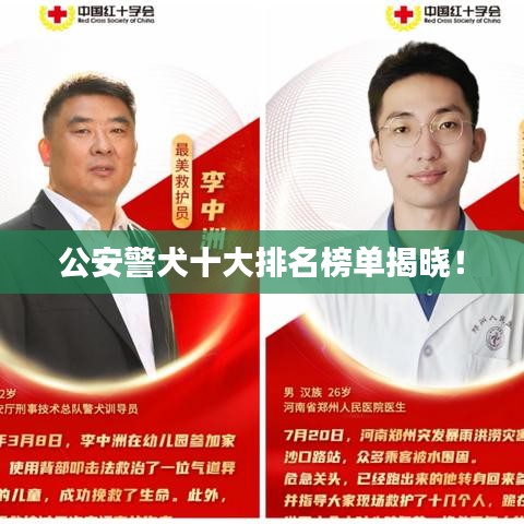 公安警犬十大排名榜单揭晓!