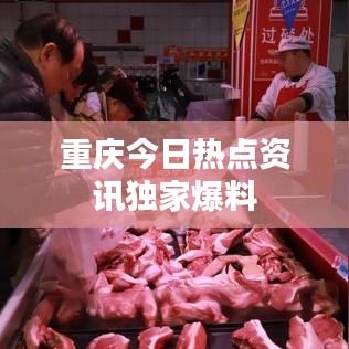 重庆今日热点资讯独家爆料