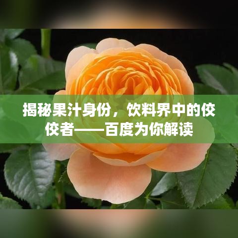 揭秘果汁身份，饮料界中的佼佼者——百度为你解读