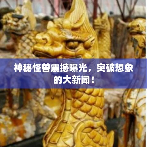 瞩目直播官方下载与屏幕监控软件单机版,迅速执行设计计划 S1_v2.725