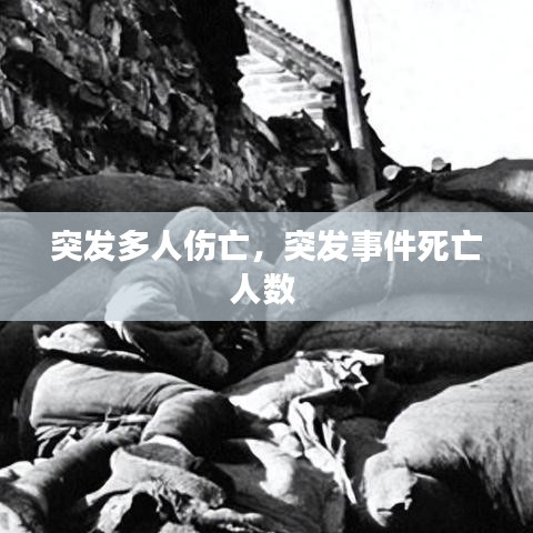 龙飞九五 第8页