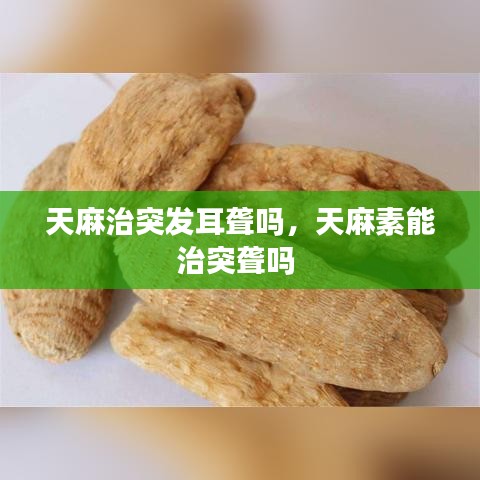 天麻治突发耳聋吗，天麻素能治突聋吗 