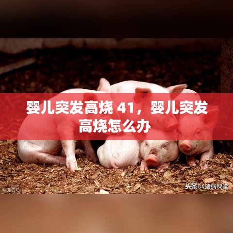 flickr 官方下载ios同热血篮球单机版,定性分析说明|FT_v6.462