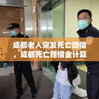 成都老人突发死亡赔偿，成都死亡赔偿金计算标准 