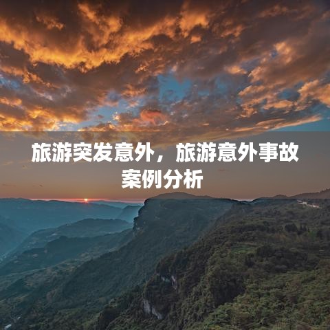 旅游突发意外,旅游意外事故案例分析
