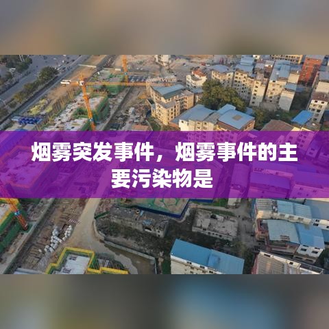 烟雾突发事件，烟雾事件的主要污染物是 