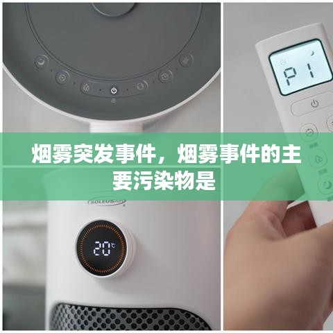 烟雾突发事件,烟雾事件的主要污染物是