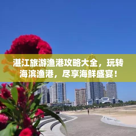 湛江旅游渔港攻略大全，玩转海滨渔港，尽享海鲜盛宴！