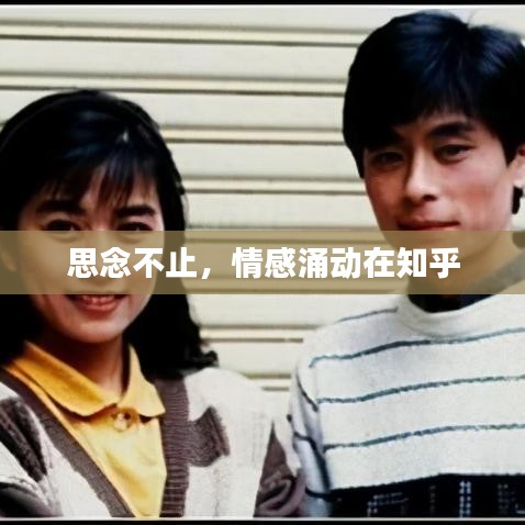 思念不止，情感涌动在知乎