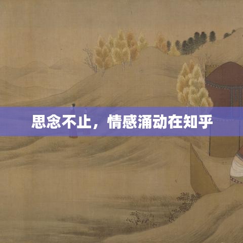 思念不止,情感涌动在知乎