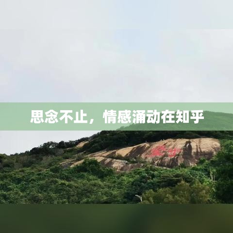 思念不止,情感涌动在知乎