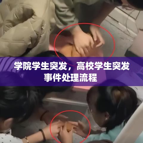学院学生突发，高校学生突发事件处理流程 