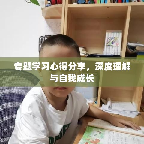 专题学习心得分享,深度理解与自我成长