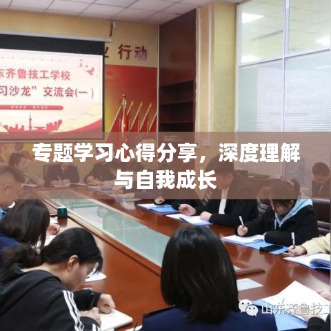 专题学习心得分享,深度理解与自我成长
