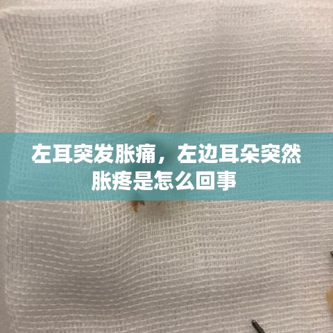 奔走如飞 第6页