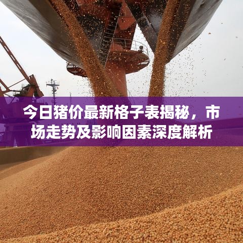 今日猪价最新格子表揭秘,市场走势及影响因素深度解析