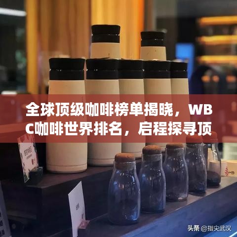 新版本贾逵,预测分析说明 10DM1_v6.469