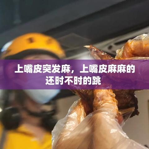 腾龙换鸟 第7页