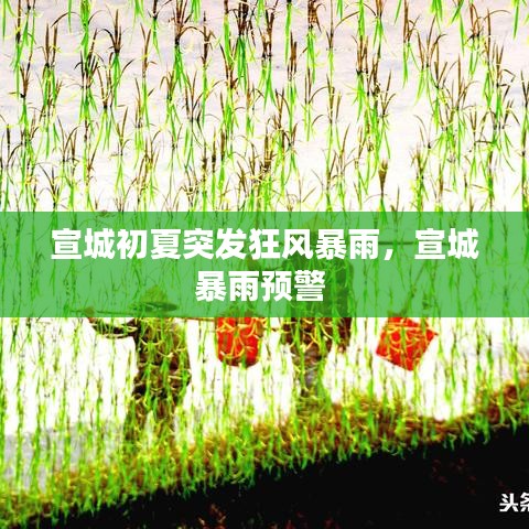 宣城初夏突发狂风暴雨,宣城暴雨预警