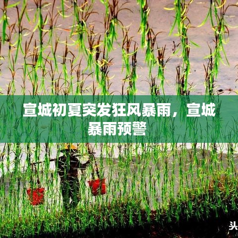 宣城初夏突发狂风暴雨,宣城暴雨预警