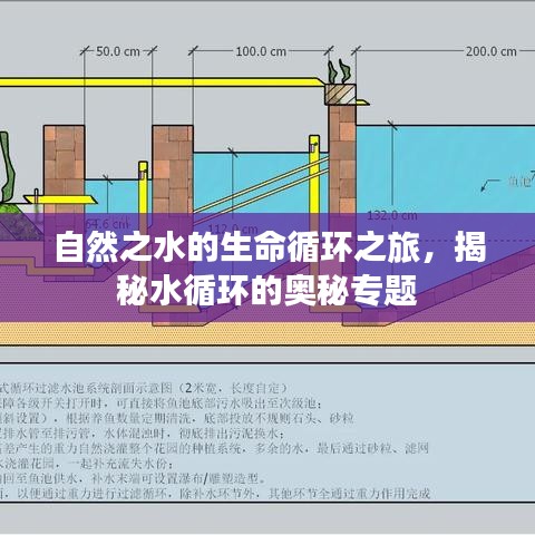 自然之水的生命循环之旅,揭秘水循环的奥秘专题