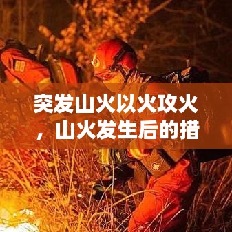 突发山火以火攻火，山火发生后的措施 