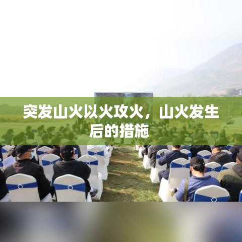 突发山火以火攻火,山火发生后的措施