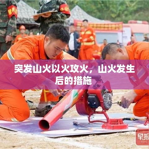 突发山火以火攻火,山火发生后的措施