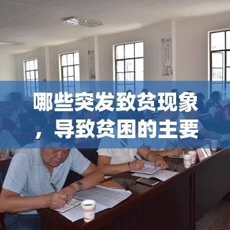 哪些突发致贫现象，导致贫困的主要原因是什么 