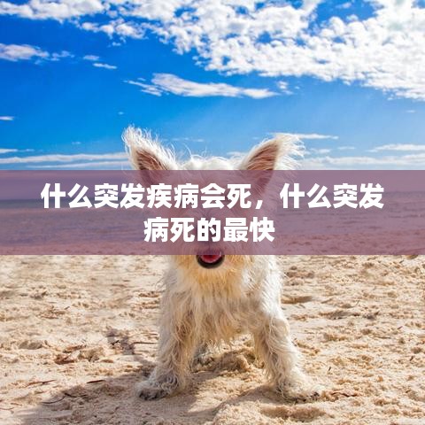 什么突发疾病会死，什么突发病死的最快 