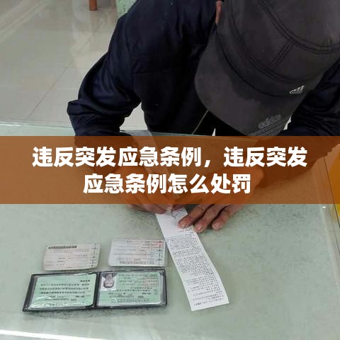 违反突发应急条例，违反突发应急条例怎么处罚 