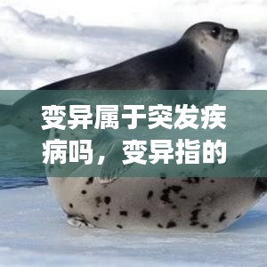 变异属于突发疾病吗,变异指的是