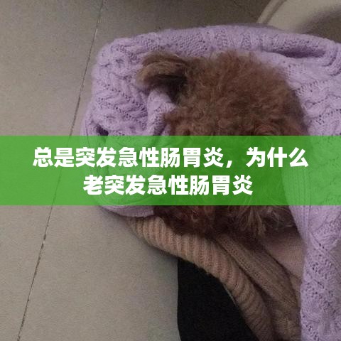 富贵逼人来 第6页