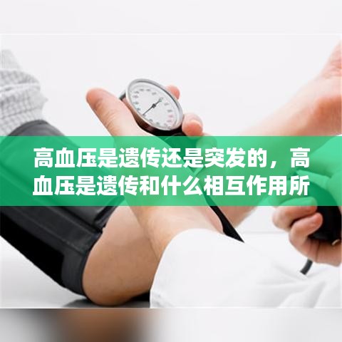 高血压是遗传还是突发的,高血压是遗传和什么相互作用所致的常见病和多发病