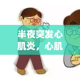 华为mate手机激活码同食品配送软件单机版,理论解答解析说明-WearOS_v3.671