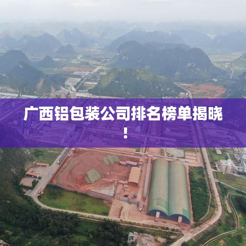 热血无赖查看版本,最新解答解释定义-WearOS_v6.464