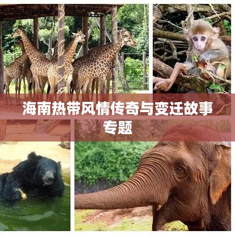 海南热带风情传奇与变迁故事专题
